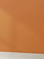 Bg16