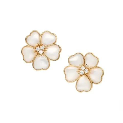 Try on Earrings online with AI